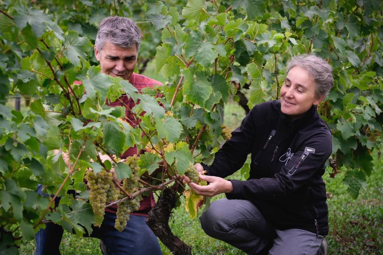 Vignoble Chateau Piegue - Winery Rochefort-sur-Loire エクステリア 写真