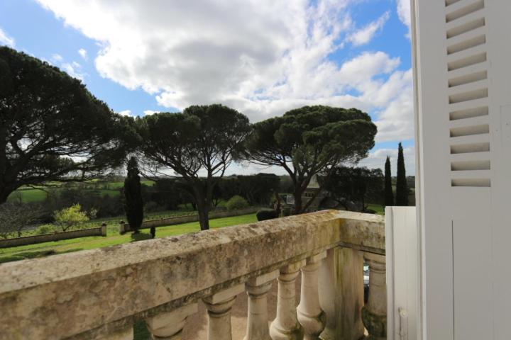 Vignoble Chateau Piegue - Winery Rochefort-sur-Loire エクステリア 写真