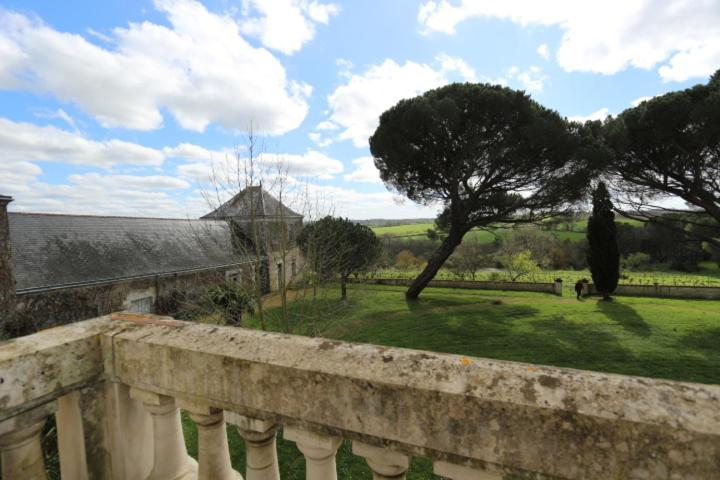 Vignoble Chateau Piegue - Winery Rochefort-sur-Loire エクステリア 写真